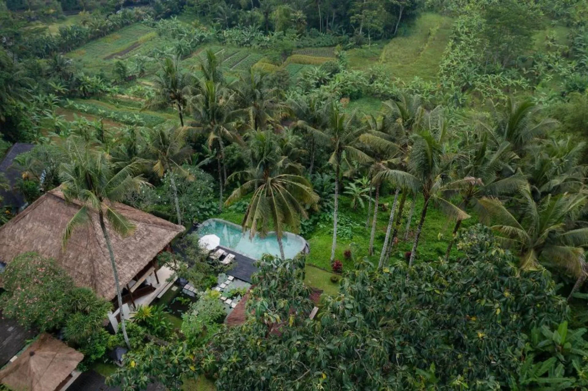Family Private Villa with Pool 3 Bedroom in Ubud 2
