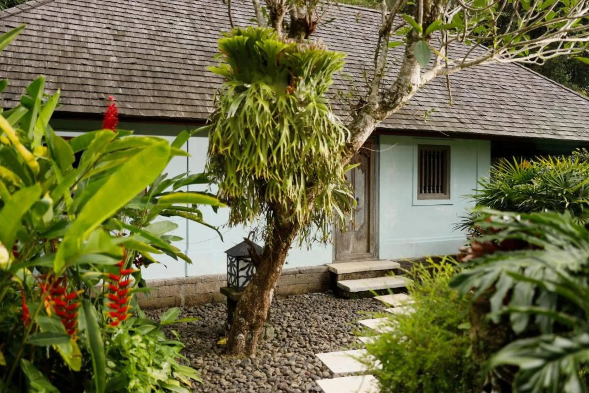 Family Private Villa with Pool 3 Bedroom in Ubud 3
