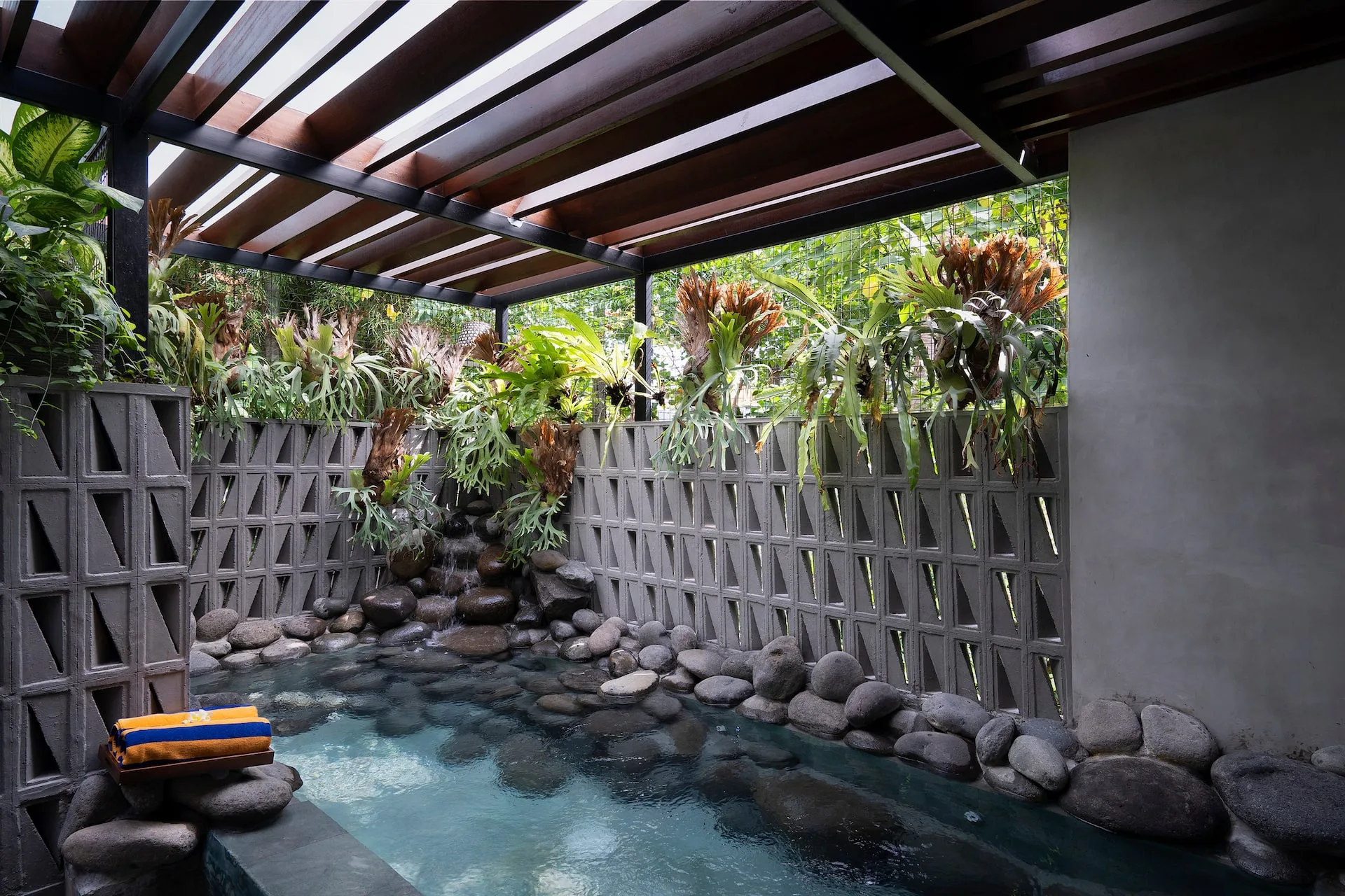 Excecutive Room with Plunge Pool in Canggu 4