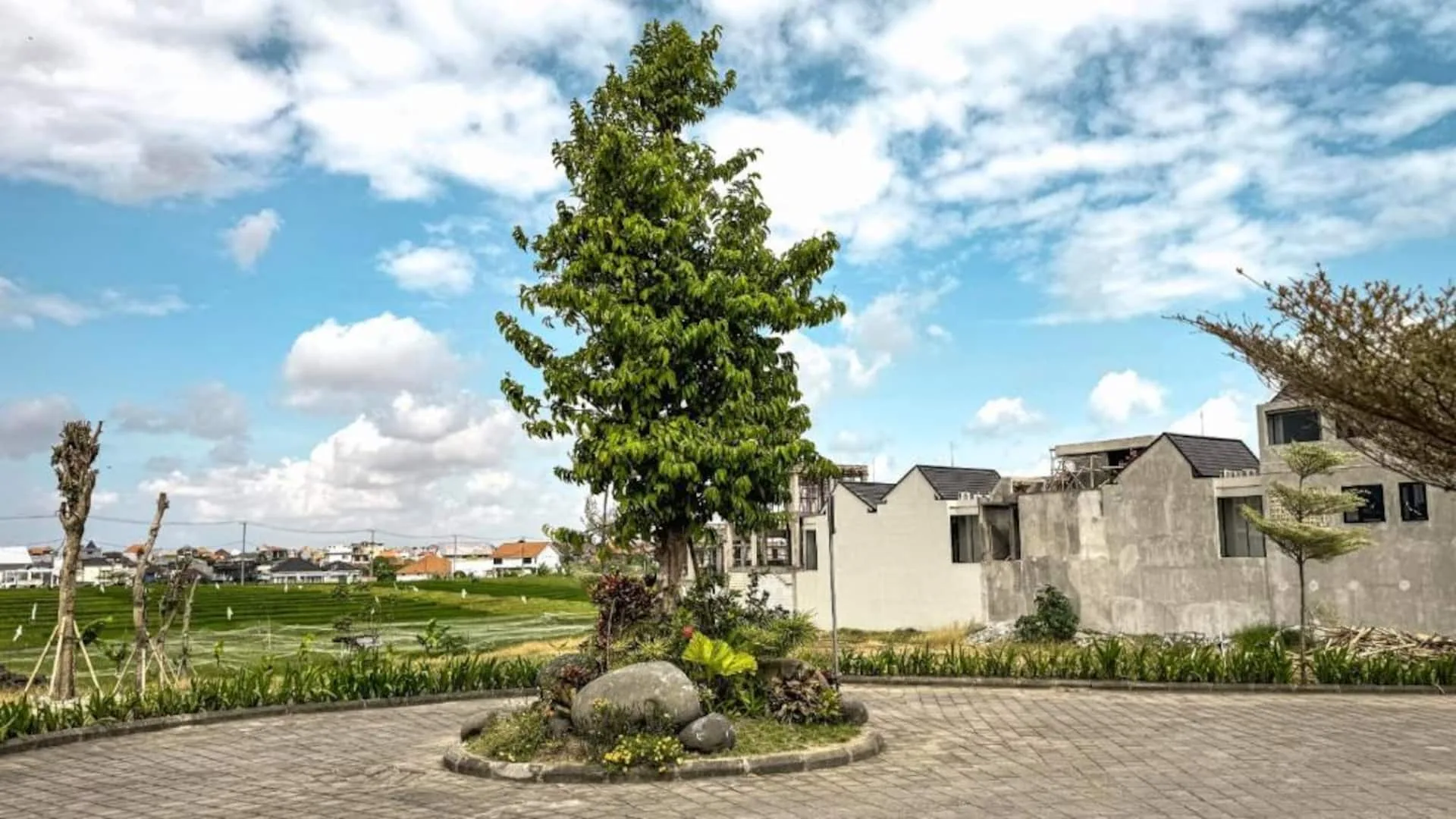 3 Bedroom Cozy Villa in Canggu 2
