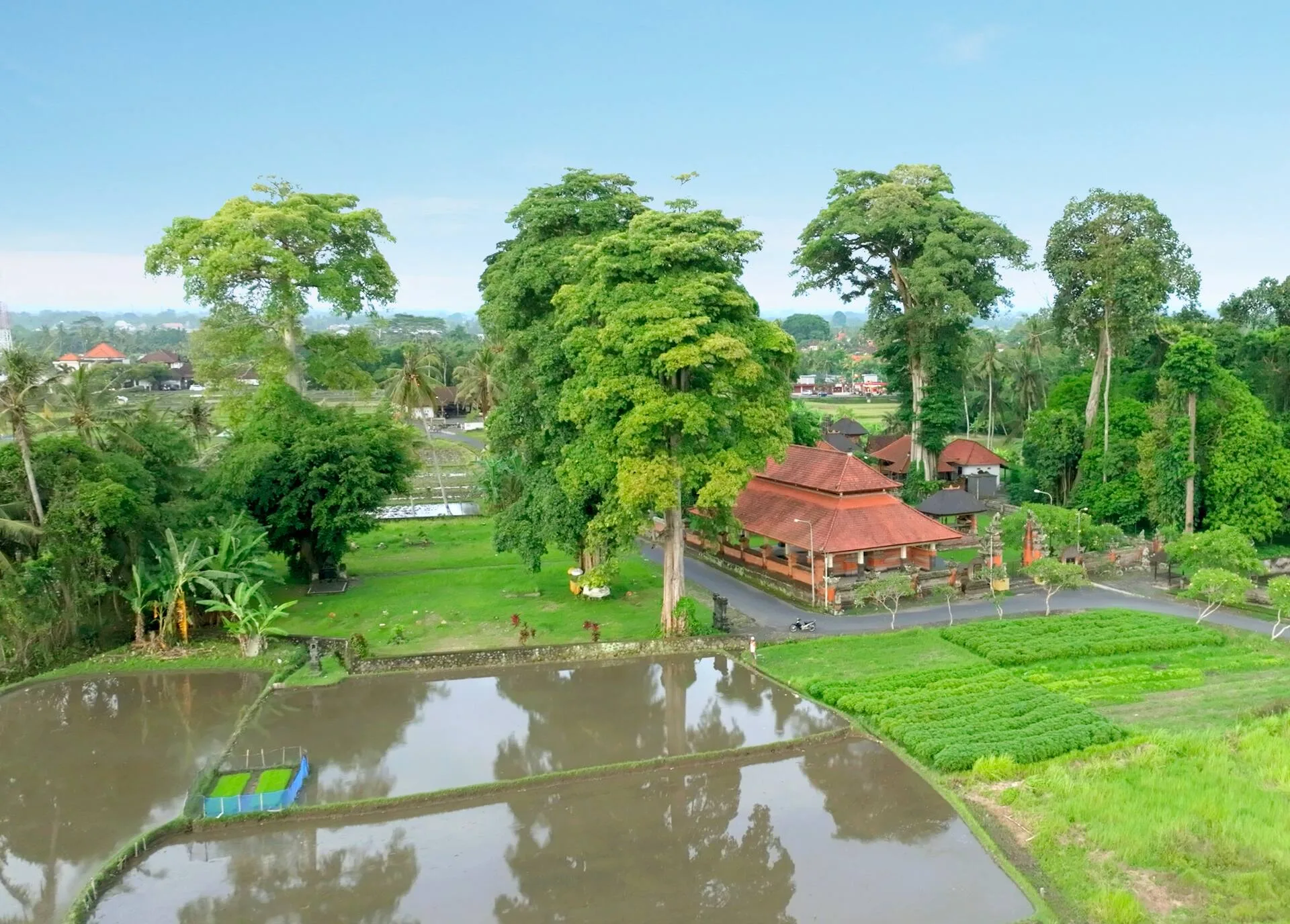 Peaceful 2 Bedroom Villa with Pool in Ubud 2
