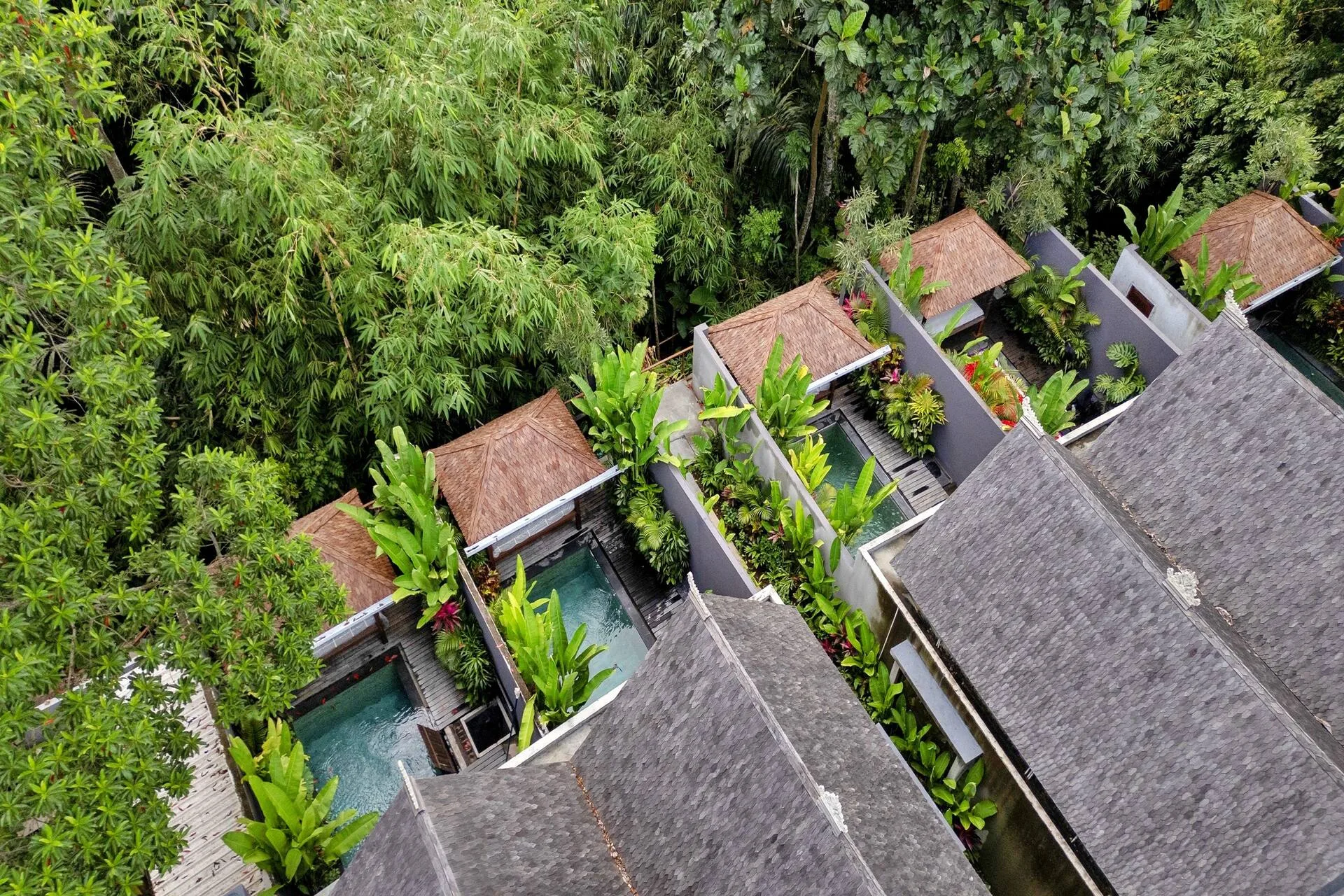 Honeymoon Escape at Central Ubud-sweet 1 Bedroom Villa 2