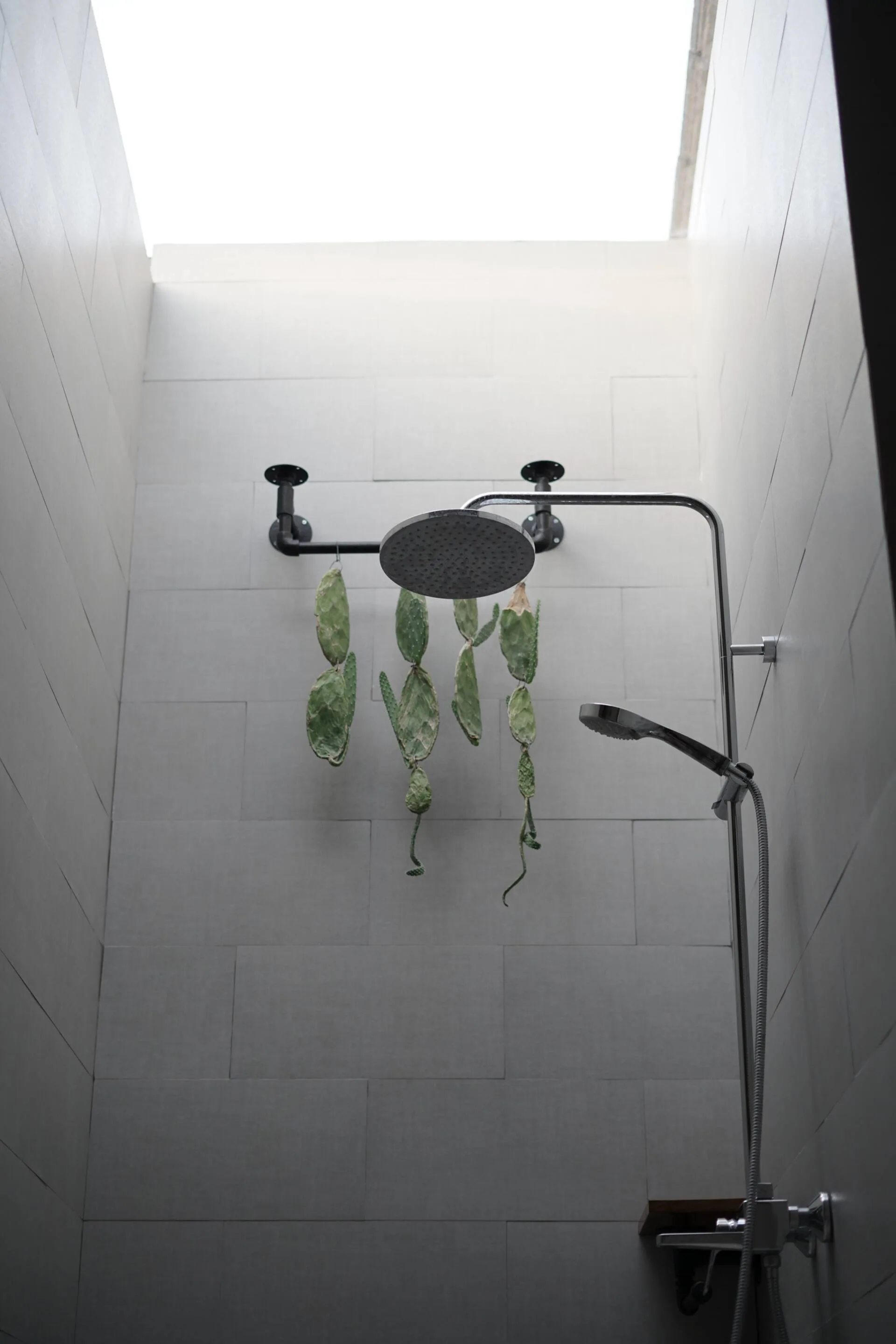 Minimalist Shared Room in Canggu 4