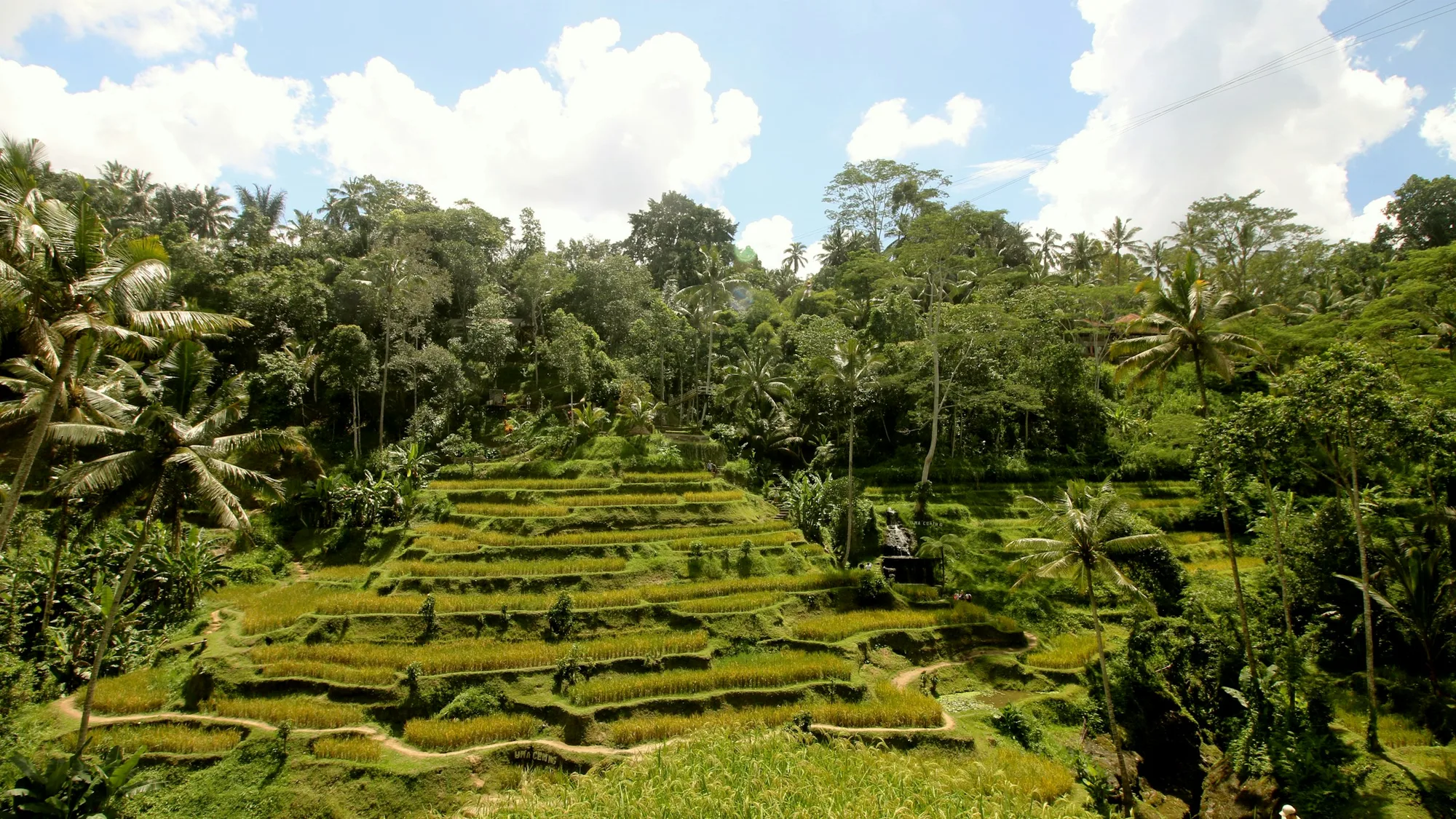 Ubud